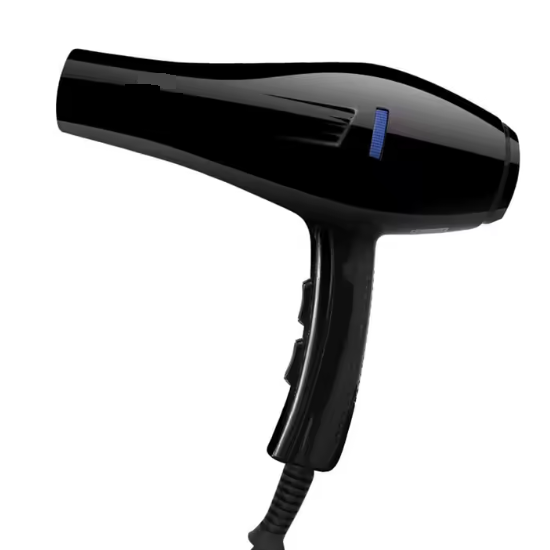 BB Professional Hair Dryer