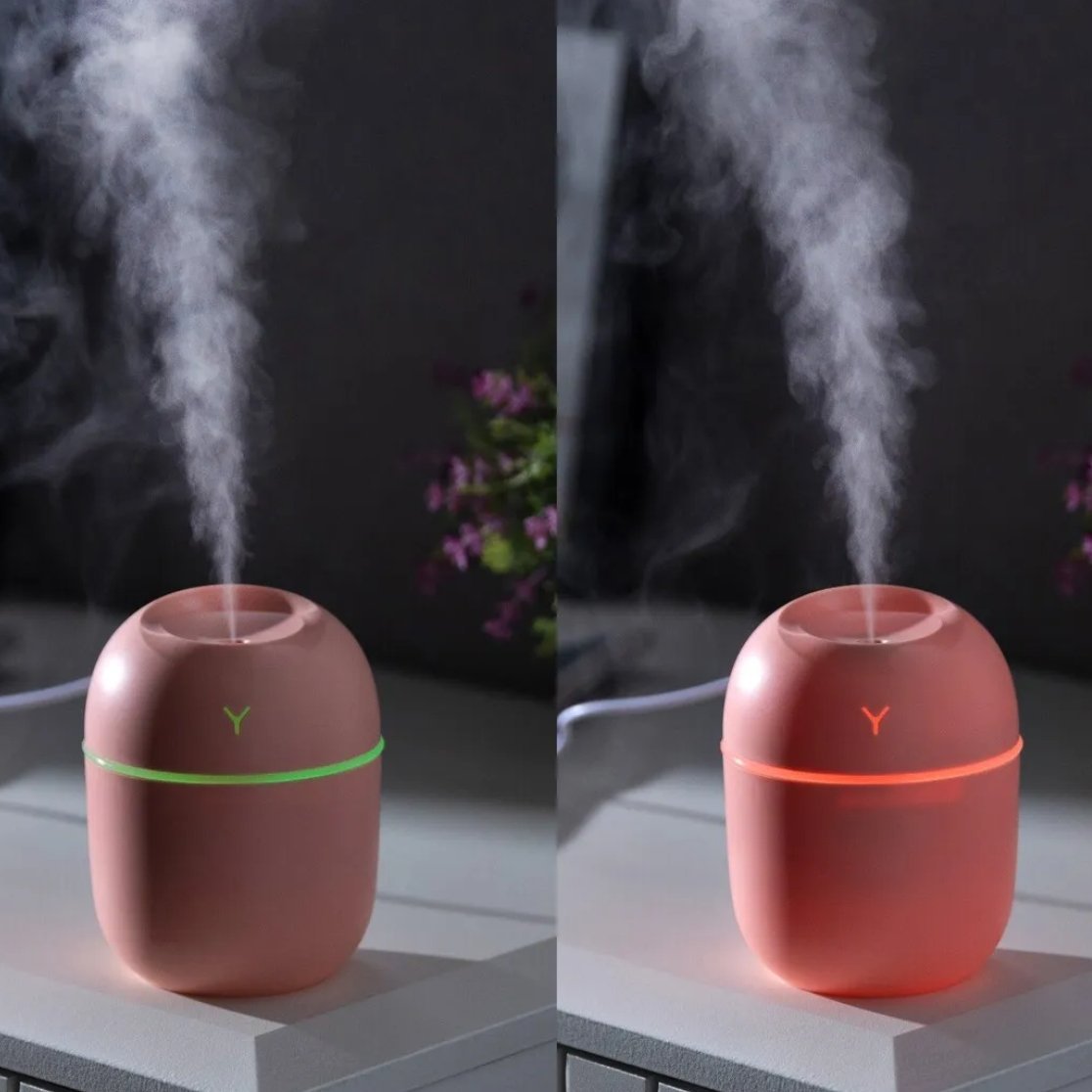 Egg Shaped Humidifier