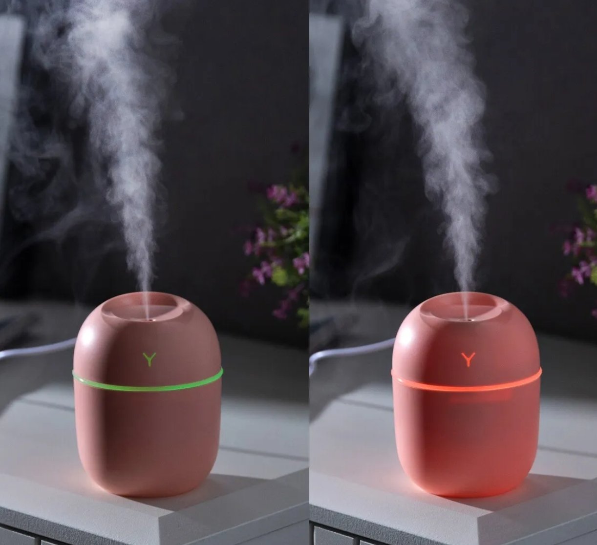 Egg Shaped Humidifier