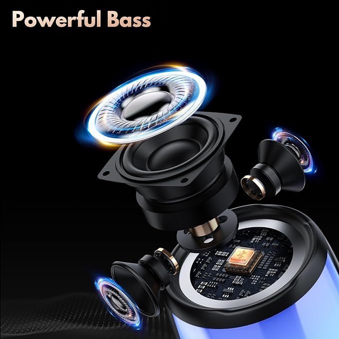 Portable Microphone Speaker