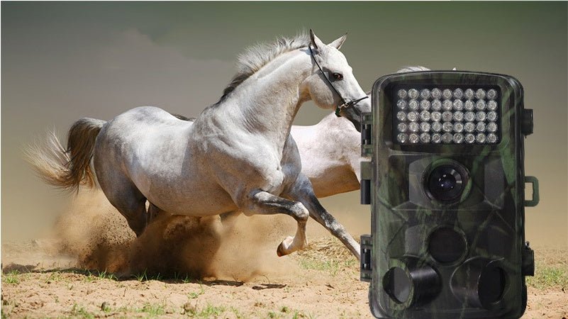 Wild Hunting Camera